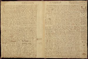 A Page from the Codex Leicester